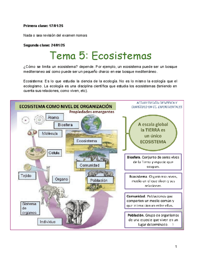 Miniatura del documento TEMA-5-EXPERIMENTALES.pdf