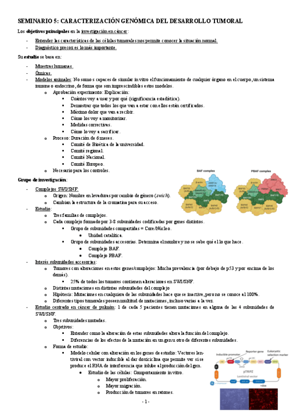 Miniatura del documento INICIACION-SEMINARIO-5-CARACTERIZACION-GENOMICA-DEL-DESARROLLO-TUMORAL.pdf