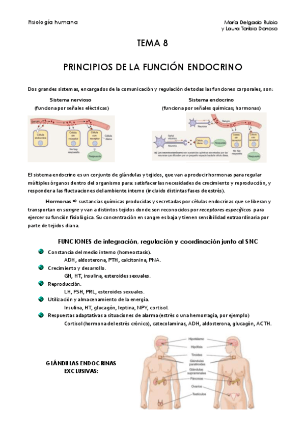 Miniatura del documento Tema 8.pdf