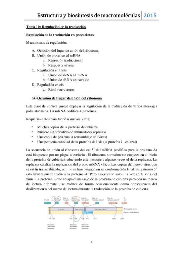 Miniatura del documento Tema 10.pdf