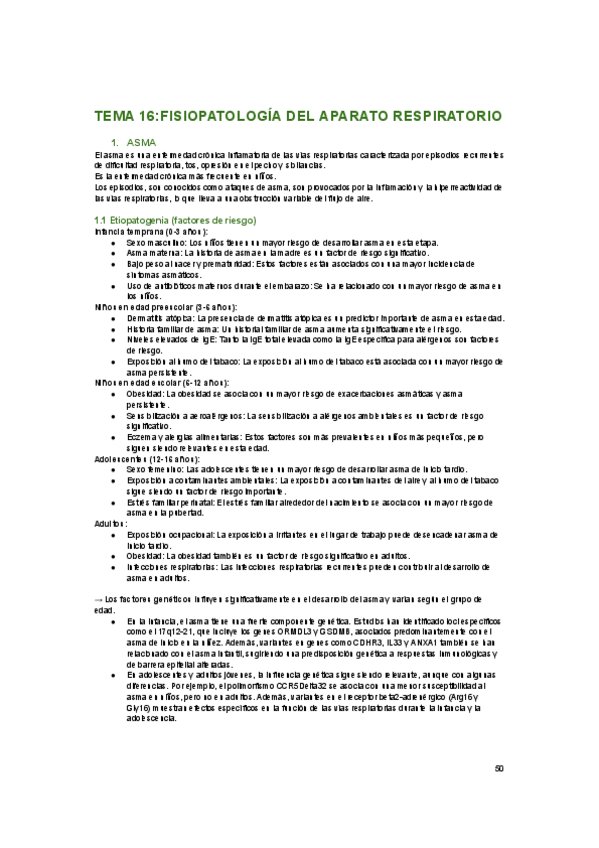 Miniatura del documento respi-1.pdf