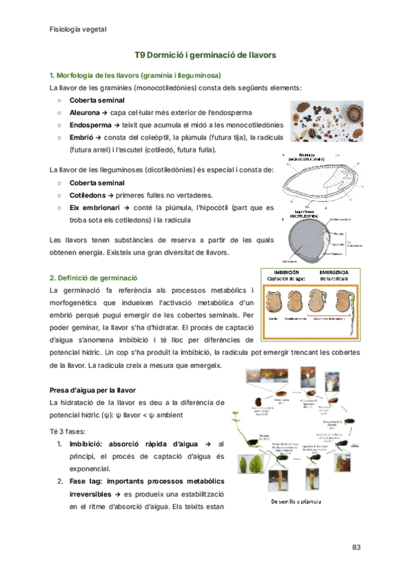 Miniatura del documento T9-Dormicio-i-germinacio-de-llavors.pdf