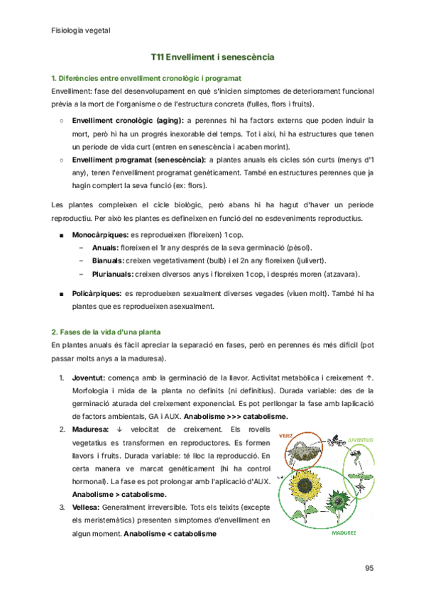 Miniatura del documento T11-Envelliment-i-senescencia.pdf