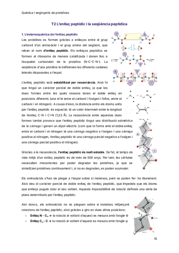 Miniatura del documento T2-Lenllac-peptidic-i-la-sequencia-peptidica.pdf