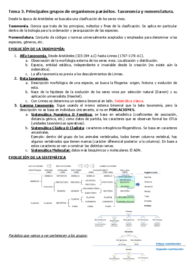 Miniatura del documento Tema-3.-Parasitologia.pdf