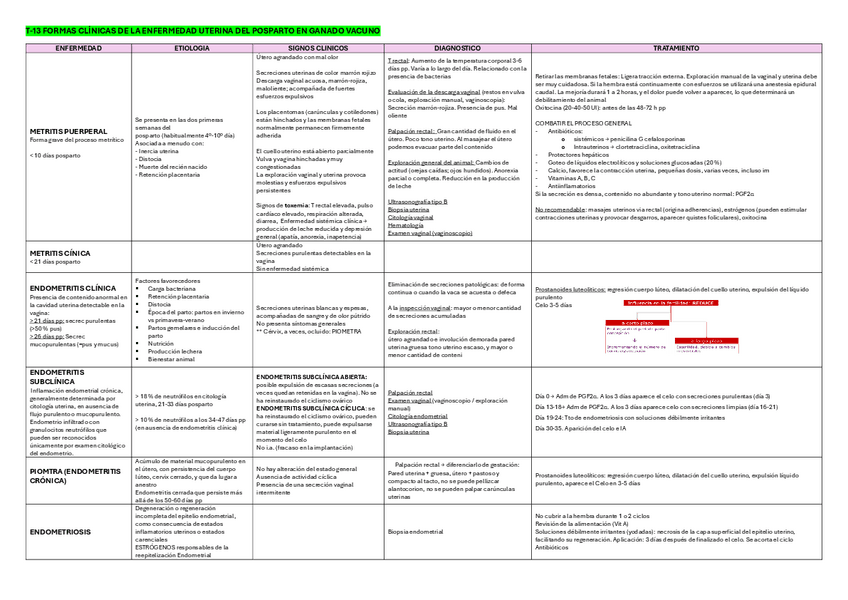 Miniatura del documento T13-POR-Tabla.pdf