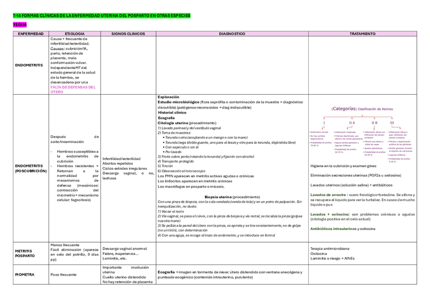 Miniatura del documento T14-POR-Tabla.pdf