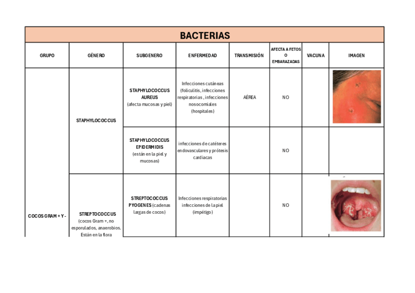 Miniatura del documento BACTERIAS.pdf