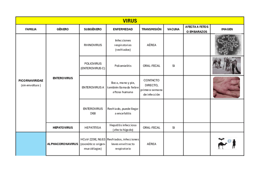 Miniatura del documento VIRUS.pdf
