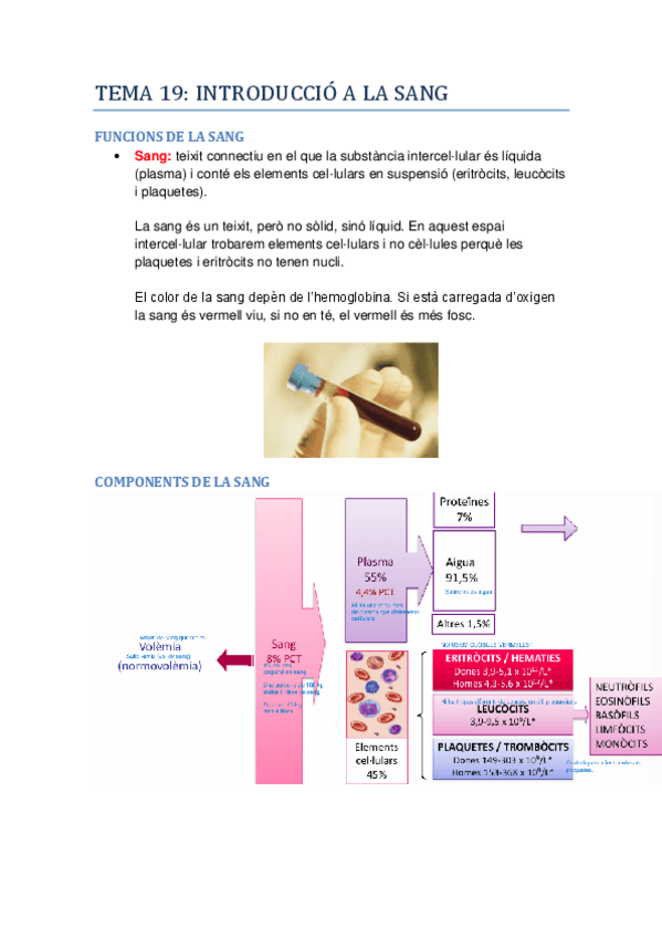 Miniatura del documento FISIO-II-2na-part-desactualitzada.pdf