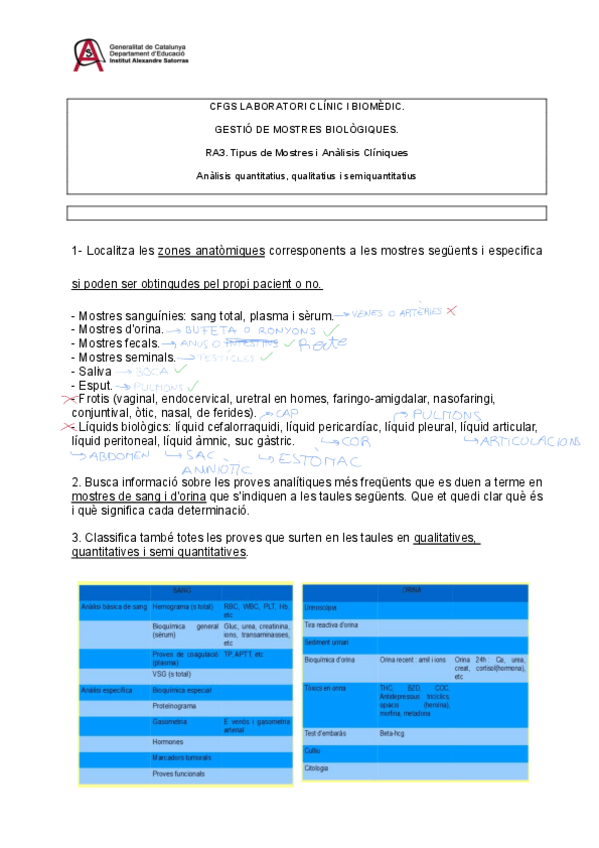Miniatura del documento 2.-Tipus-de-proves..pdf