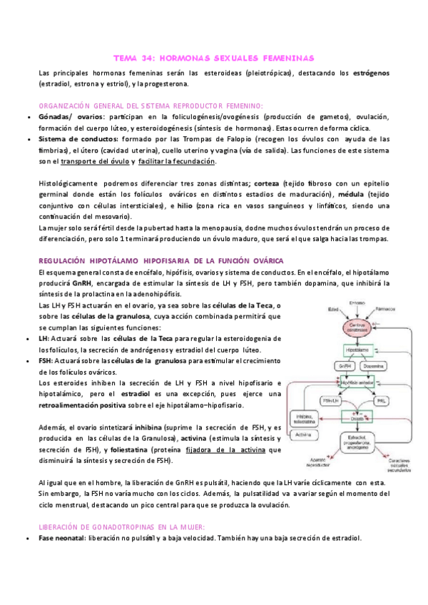 Miniatura del documento h-femeninas-t34.pdf