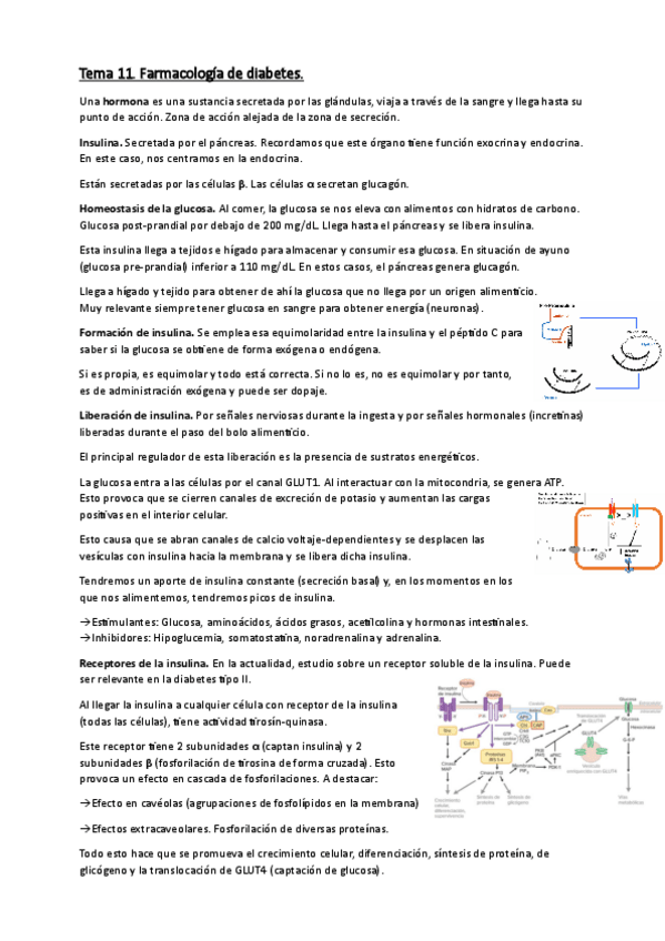 Miniatura del documento Tema-11-Farmacologia-diabetes.pdf