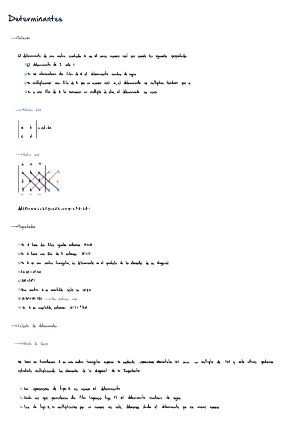 Miniatura del documento Determinantes.pdf