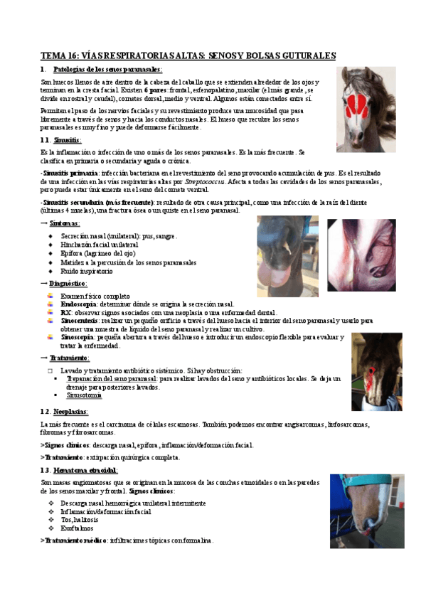 Miniatura del documento Apuntes-2a-parte-T-16-32--seminarios.pdf