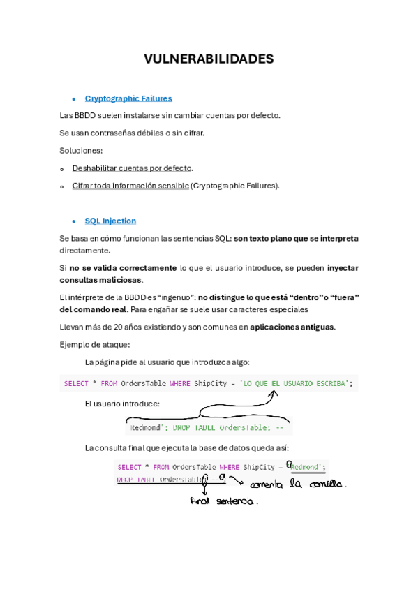 Miniatura del documento VULNERABILIDADES-BBDD.pdf
