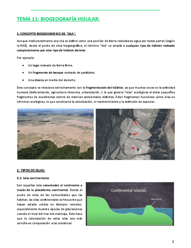 Miniatura del documento ECO-C-T11.pdf