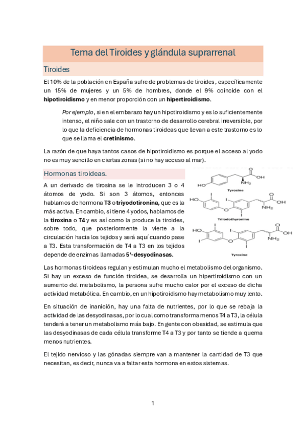 Miniatura del documento Tema-del-tiroides-y-glandula-suprarrenal. Fisio I.pdf