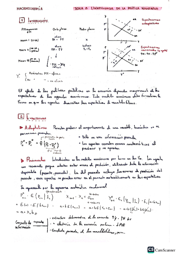 Miniatura del documento TEMAS-3-Y-4-MACRO-IV.pdf