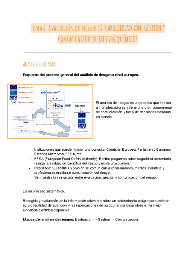 Miniatura del documento RIESGOS-QUIMICOS TEMA 6.pdf