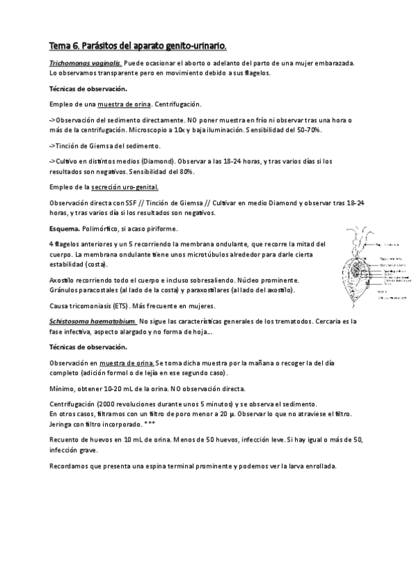 Miniatura del documento Tema-6-Parasitos-aparato-genito-urinario.pdf