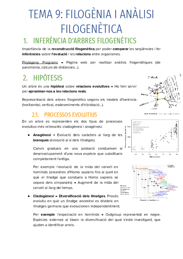 Miniatura del documento T.9-FILOGENIA-I-ANALISI-FILOGENETICA.pdf