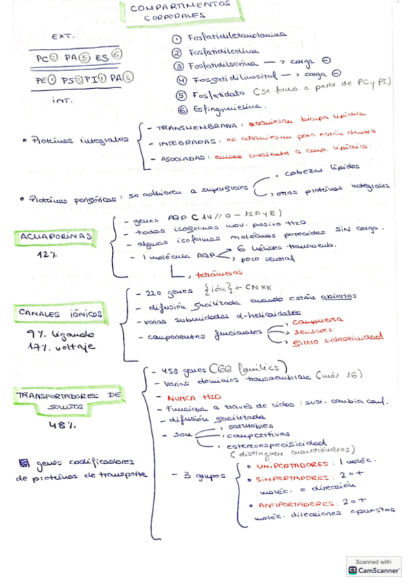 Miniatura del documento Esquemas-primera-parte-de-Clara.pdf