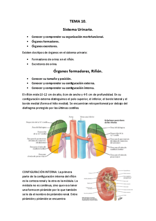 Miniatura del documento T10T11.pdf