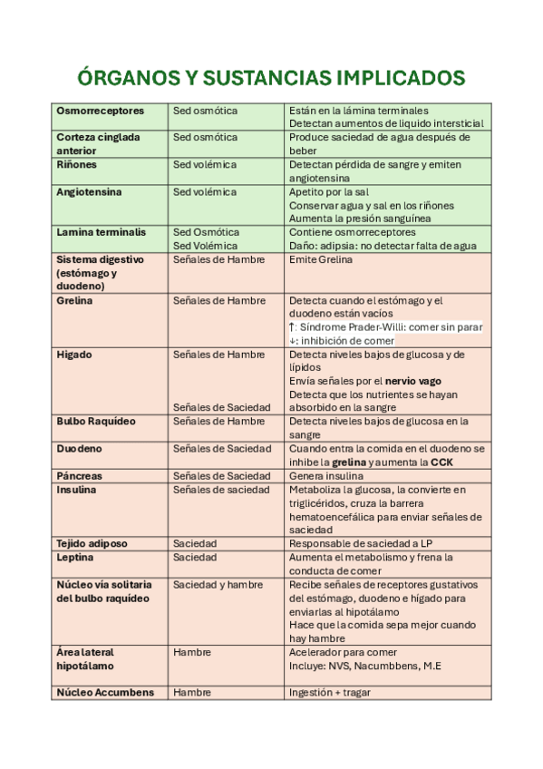 Miniatura del documento Organos-y-sustancias-Fisio.pdf