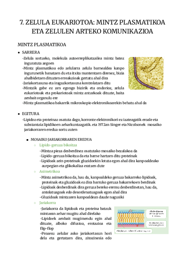 Miniatura del documento 7.MINTZ-PLASMATIKOA-2.BACH.pdf
