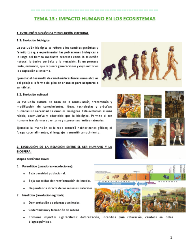 Miniatura del documento ECO-C-T13.pdf