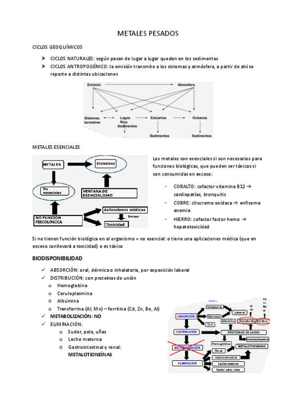 Miniatura del documento 9.-Metales-pesados.pdf