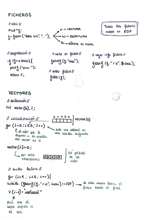 Miniatura del documento ficheros y vectores pt 2.jpeg