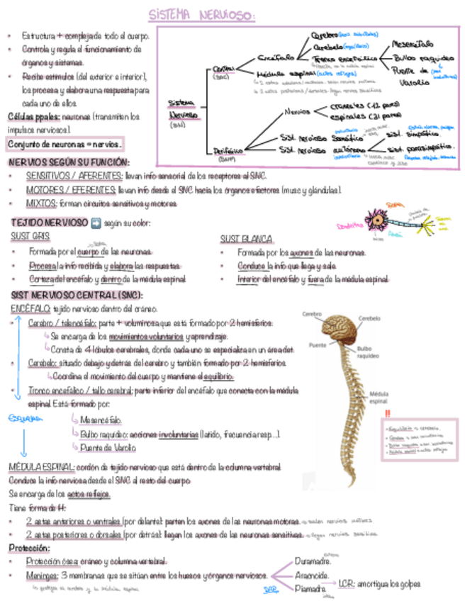 Miniatura del documento Tema-4.pdf