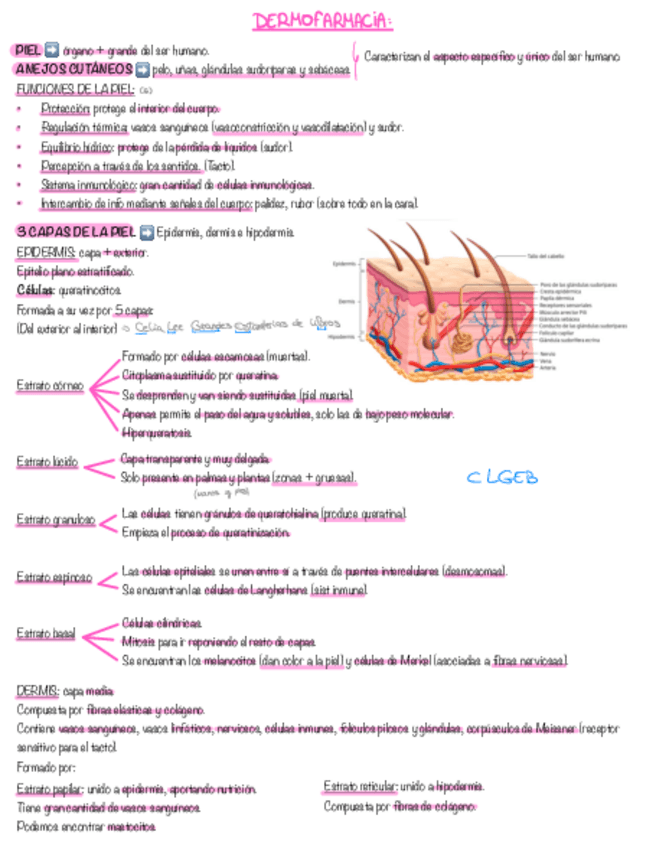 Miniatura del documento Tema-4.pdf
