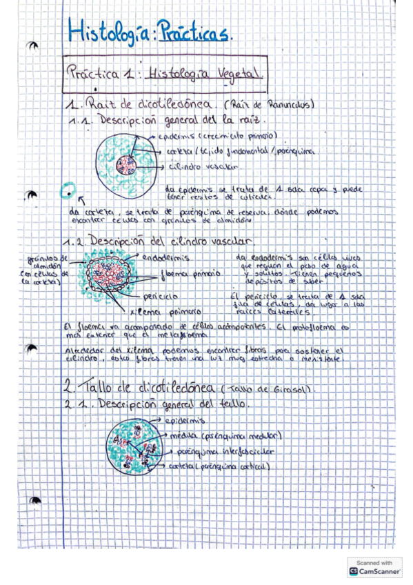 Miniatura del documento HISTOLOGIA-PRACTICAS.pdf