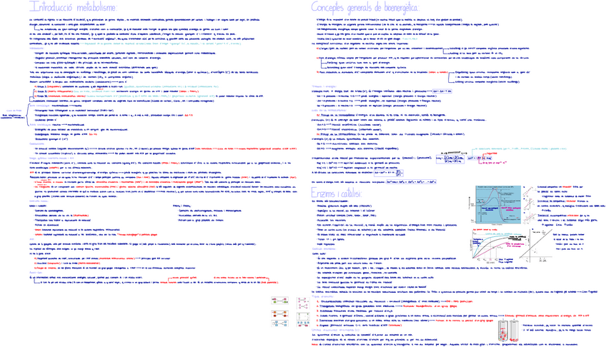 Miniatura del documento Introduccio-metabolisme.pdf