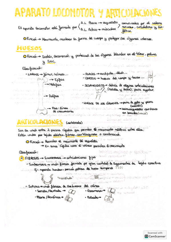 Miniatura del documento Artrologia.pdf