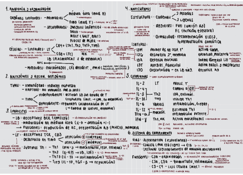 Miniatura del documento Esquema (Inmunología).pdf