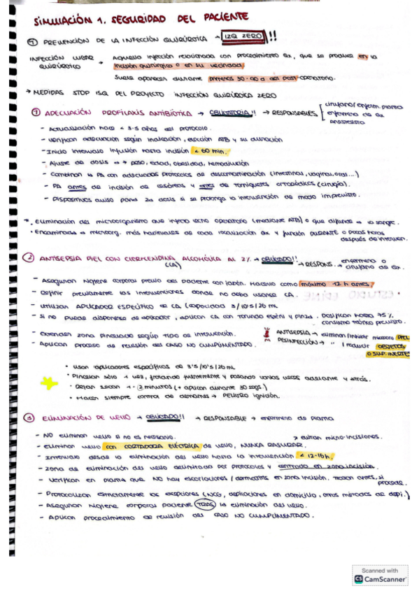 Miniatura del documento Simulacion-seguridad-del-pacientePIV.pdf