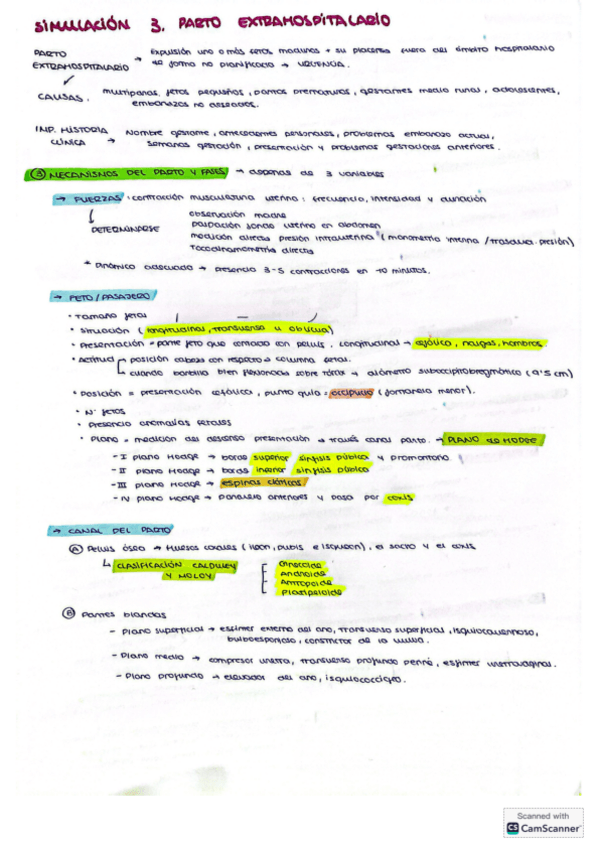 Miniatura del documento Simulacion-partoPIV.pdf