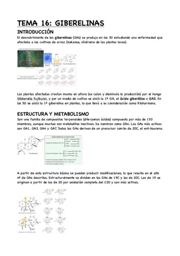 Miniatura del documento TEMA-16-GIBERELINAS.pdf