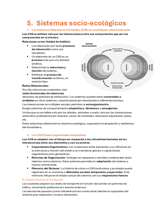 Miniatura del documento Clase-5-ERNA.pdf