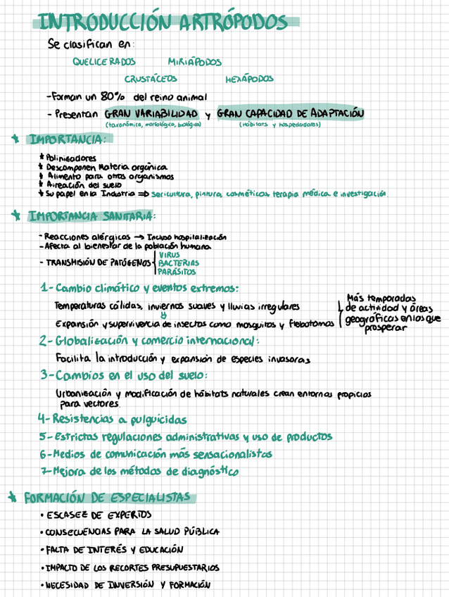 Miniatura del documento Apuntes-4-Parcial-INSECTOS.pdf
