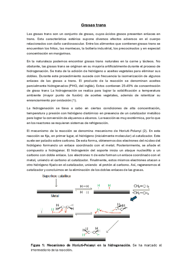 Miniatura del documento Grasas-trans-Metabolismo-1.pdf