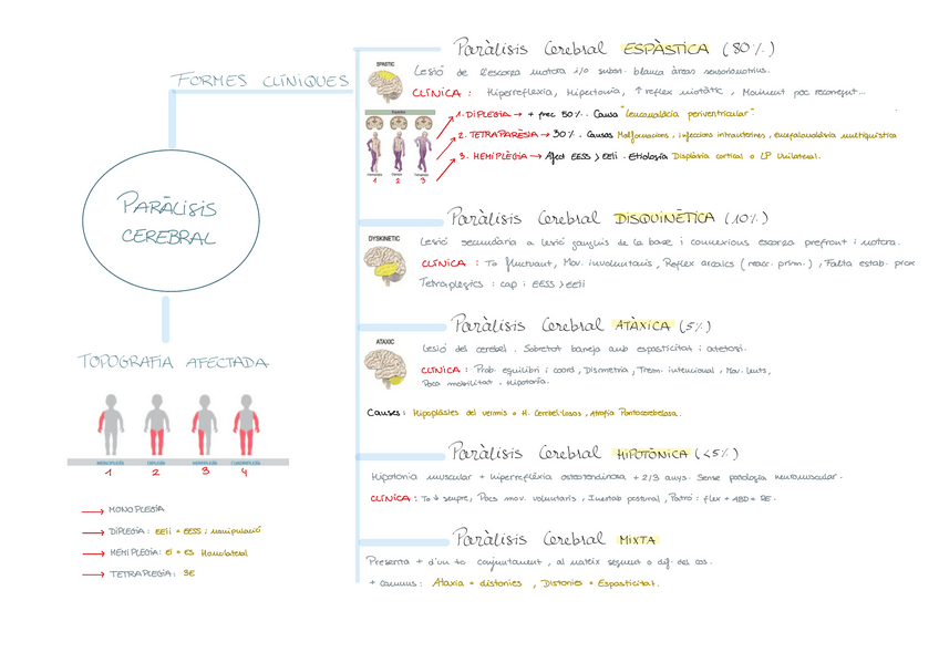 Miniatura del documento Neuropedi-T1-T5.pdf