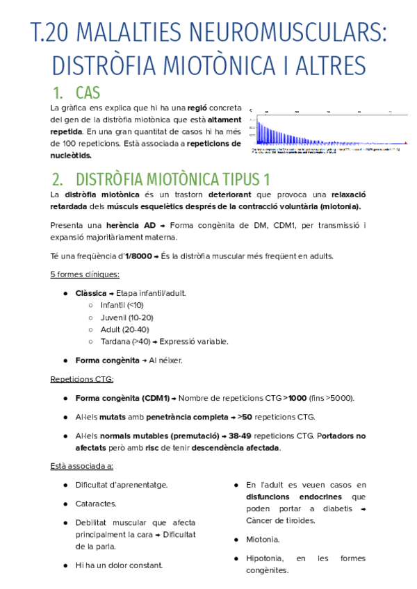 Miniatura del documento T.20-MALALTIES-NEUROMUSCULARS-DISTROFIA-MIOTONICA-I-ALTRES.pdf
