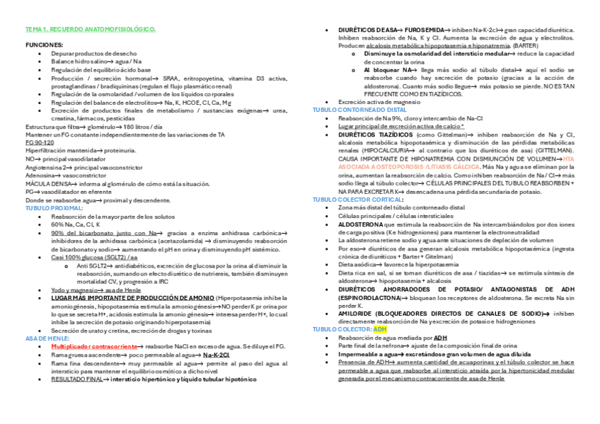 Miniatura del documento Resumen-nefro.pdf