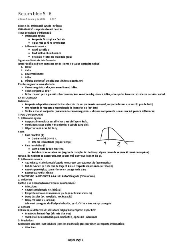 Miniatura del documento resum-bloc-5-i-6.pdf