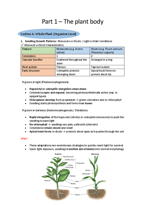 Miniatura del documento Apuntes-completos-laboratorio-fisiologia-vegetal.pdf